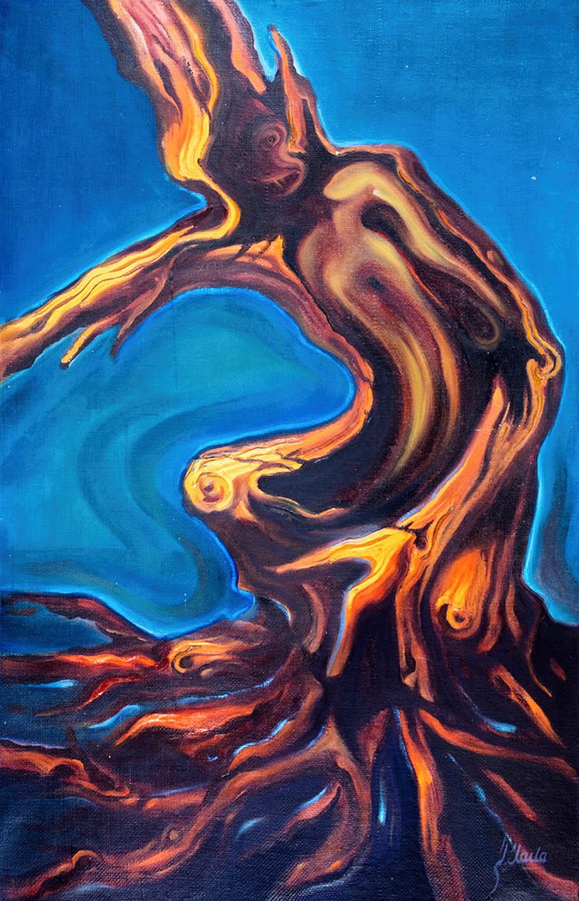 Conflict by Laila Shahzada