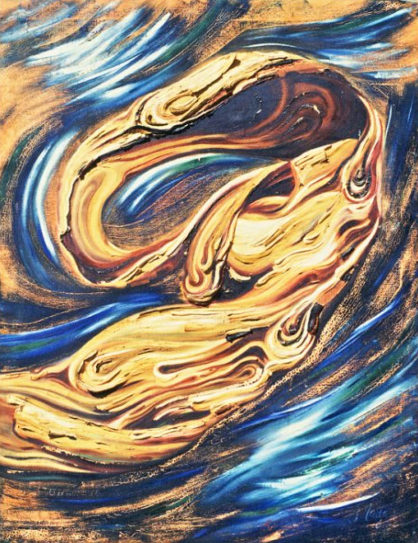 The Frenzy by Laila Shahzada